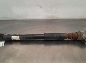 Shock Absorber AUDI A6 Avant (4G5, 4GD, C7)