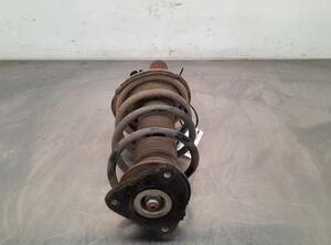 Shock Absorber FORD C-MAX II (DXA/CB7, DXA/CEU), FORD GRAND C-MAX (DXA/CB7, DXA/CEU)