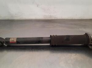 Shock Absorber NISSAN QASHQAI III (J12)