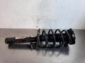 Shock Absorber VW TIGUAN (5N_)