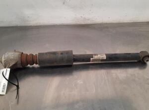 Shock Absorber AUDI A4 Avant (8W5, 8WD, B9)