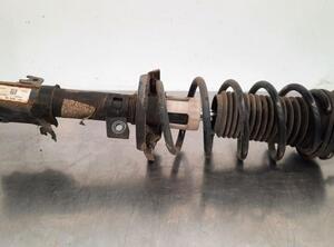 Shock Absorber FORD KA+ (UK, FK)