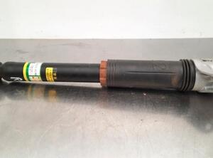 Shock Absorber TOYOTA RAV 4 V (_A5_, _H5_)