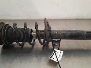 Shock Absorber VW GOLF VII (5G1, BQ1, BE1, BE2)