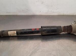 Shock Absorber AUDI Q5 (FYB, FYG)