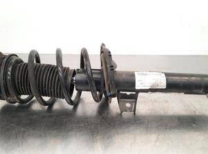 Shock Absorber VW TIGUAN (AD1, AX1), VW TIGUAN ALLSPACE (BW2)