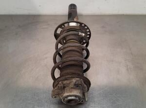 Shock Absorber BMW X3 (G01, F97)