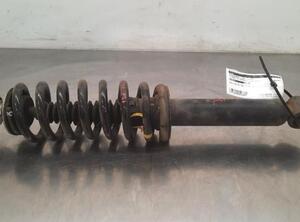 Shock Absorber CITROËN C5 AIRCROSS (A_)