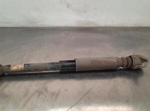 Shock Absorber AUDI A3 Sportback (8VA, 8VF)