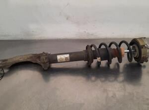 Shock Absorber AUDI A4 Avant (8W5, 8WD, B9)