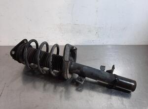 Shock Absorber FORD KUGA II (DM2)