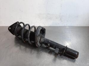 Shock Absorber FORD KUGA II (DM2)