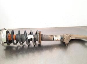 Shock Absorber AUDI Q5 Sportback (FYT)