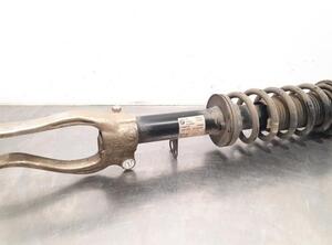 Shock Absorber BMW 5 Touring (G31)