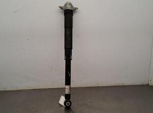 Shock Absorber VW T-CROSS (C11_)