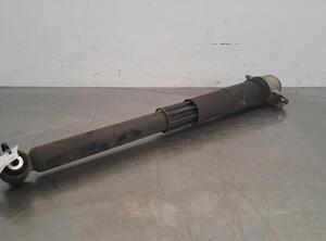 Shock Absorber VW GOLF VIII (CD1)