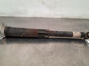 Shock Absorber VW GOLF VIII (CD1)