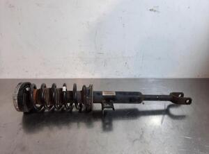 Shock Absorber BMW 5 Touring (F11)