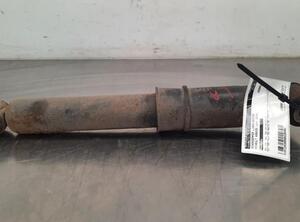 Shock Absorber RENAULT KANGOO Express (FW0/1_)