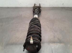 Shock Absorber MERCEDES-BENZ GLE (W166)