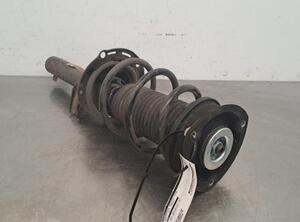 Shock Absorber VW GOLF VIII (CD1)