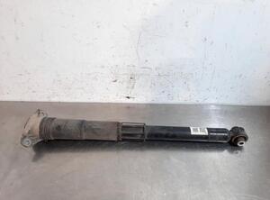 Shock Absorber SEAT TARRACO (KN2)