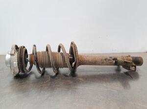 Shock Absorber FIAT DUCATO Van (250_, 290_)