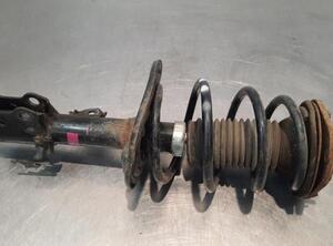 Shock Absorber TOYOTA VERSO (_R2_)