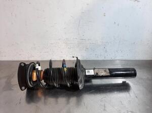 Shock Absorber VW TIGUAN (AD1, AX1), VW TIGUAN ALLSPACE (BW2)