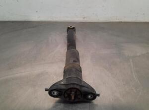 Shock Absorber OPEL CORSA F (P2JO), PEUGEOT 208 II (UB_, UP_, UW_, UJ_)