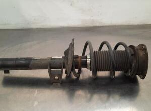 Shock Absorber SKODA OCTAVIA III Combi (5E5, 5E6)