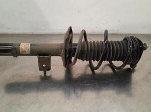 Shock Absorber RENAULT AUSTRAL