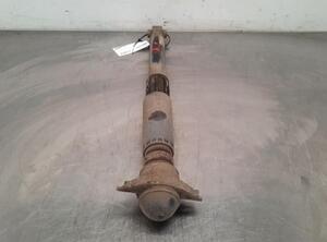 Shock Absorber AUDI A3 Sportback (8VA, 8VF)