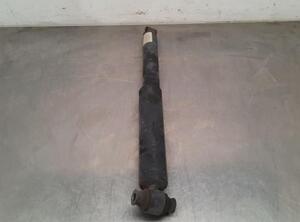 Shock Absorber FORD TRANSIT V363 Platform/Chassis (FED, FFD)