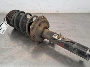 Shock Absorber VW GOLF VII (5G1, BQ1, BE1, BE2)