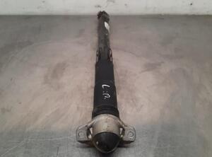 Shock Absorber VW TIGUAN (AD1, AX1), VW TIGUAN ALLSPACE (BW2)