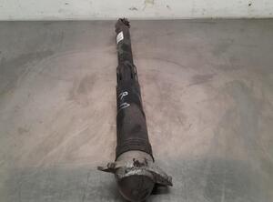 Shock Absorber VW TIGUAN (AD1, AX1), VW TIGUAN ALLSPACE (BW2)