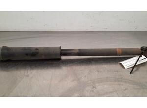 Shock Absorber RENAULT CAPTUR II (HF_)