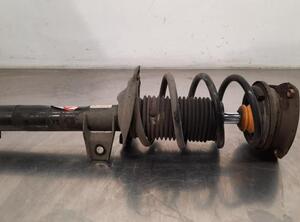 Shock Absorber VW GOLF SPORTSVAN (AM1, AN1)