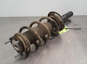 Shock Absorber FORD TRANSIT CUSTOM V362 Van (FY, FZ)