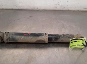 Shock Absorber OPEL MOVANO B Bus (X62), OPEL MOVANO B Van (X62), RENAULT MASTER III Van (FV)