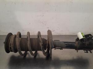 Shock Absorber RENAULT MASTER III Van (FV)