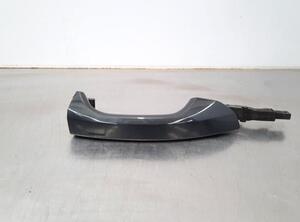 Grab Handle AUDI E-TRON (GEN)