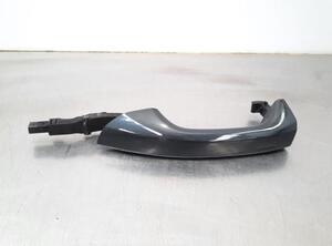 Grab Handle AUDI E-TRON (GEN)