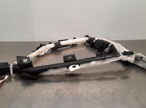 Airbag Dach rechts Toyota RAV 4 V A5  P20714058