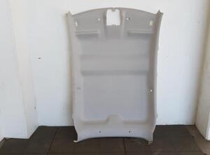 Front Interior Roof Trim Panel CITROËN C3 III (SX), CITROËN C3 II (SC_)