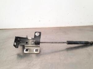 Gas Spring RENAULT TRAFIC III Van (FG_)