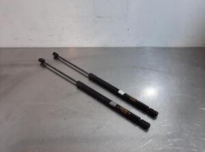 Gas Spring SUZUKI BALENO (FW, EW)