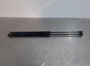 Gas Spring NISSAN QASHQAI II SUV (J11, J11_)