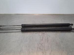 Gas Spring VW TRANSPORTER V Bus (7HB, 7HJ, 7EB, 7EJ, 7EF, 7EG, 7HF, 7EC)